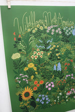 Wildflowers of North America Poster