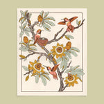 Hummingbirds and Passion Flowers