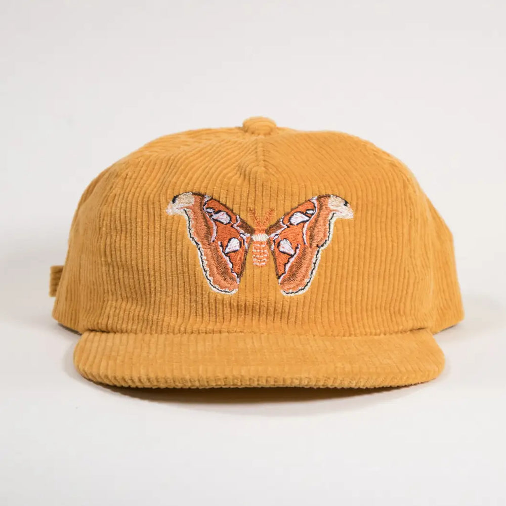 Atlas Moth Corduroy Hat