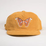 Atlas Moth Corduroy Hat