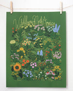 Wildflowers of North America Poster