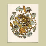 Frog, Lotus Pods, and Lotus Flowers Print