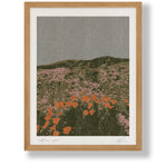 California Poppies Art Print