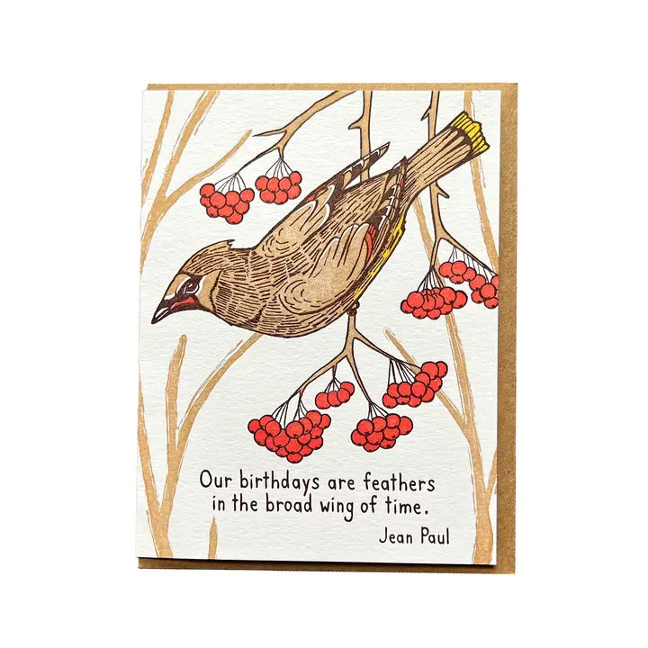 Feathers Birthday Card