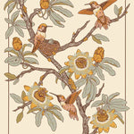 Hummingbirds and Passion Flowers