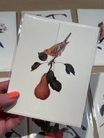 The Pear Greeting Card