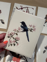 Magpie and Dogwood Greeting Card