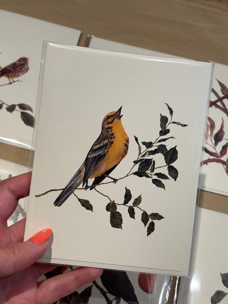 Prairie Warbler Greeting Card