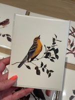 Prairie Warbler Greeting Card