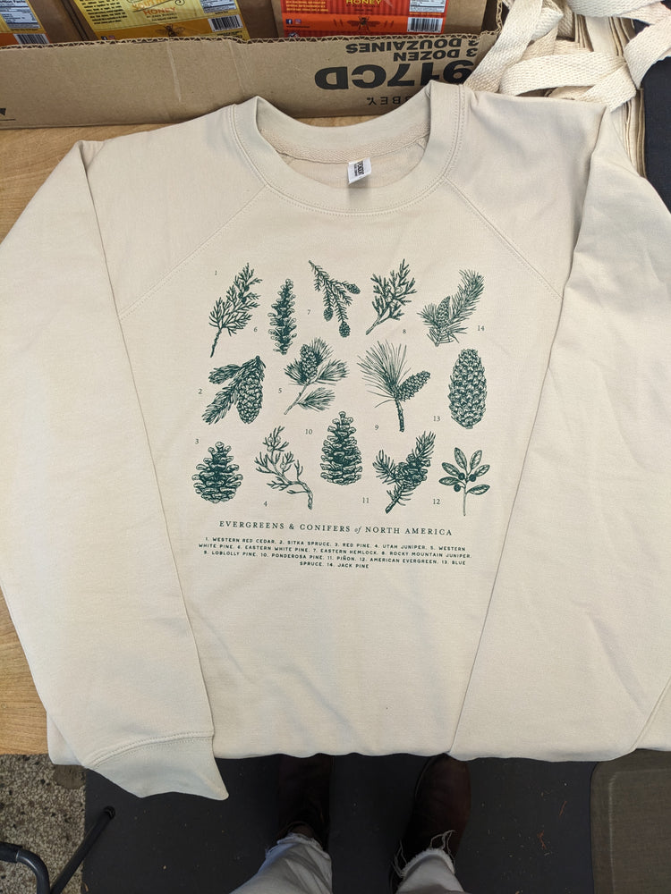 Evergreens of North America Sweatshirt - Sand