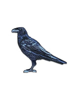 Common Raven Patch