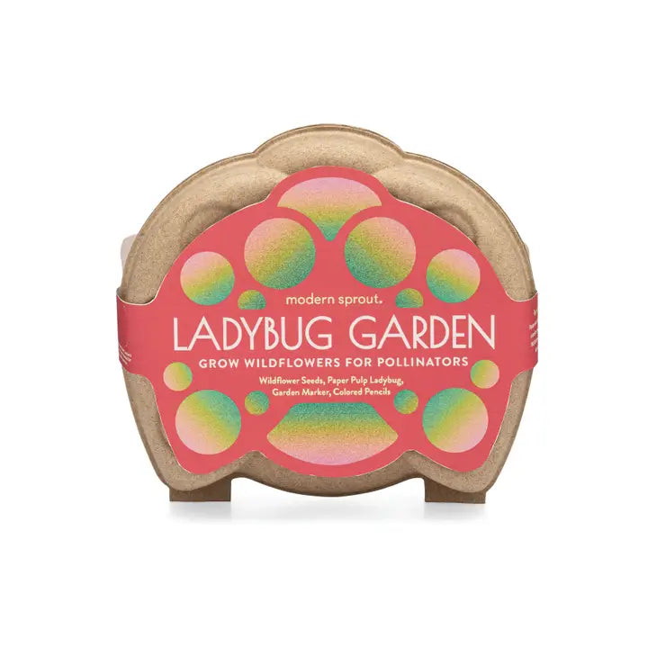 Curious Critters Ladybug Activity Kit