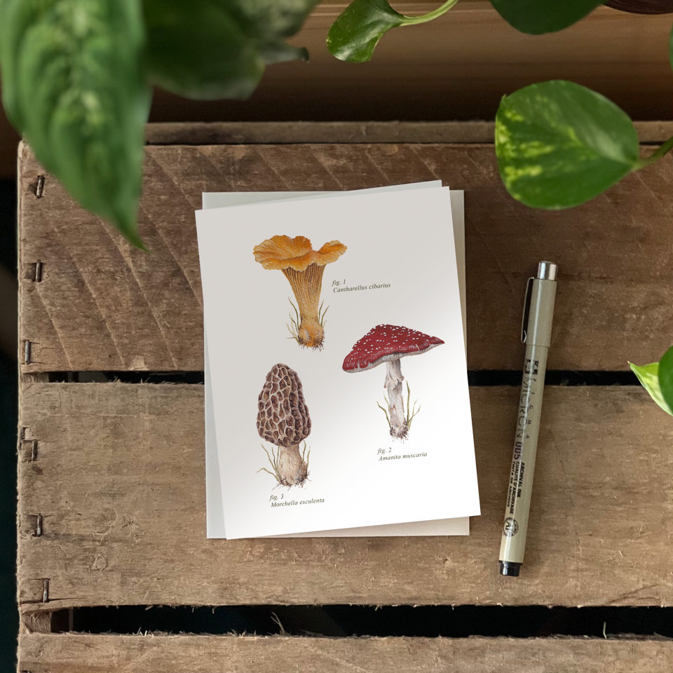 Mushroom Series Card