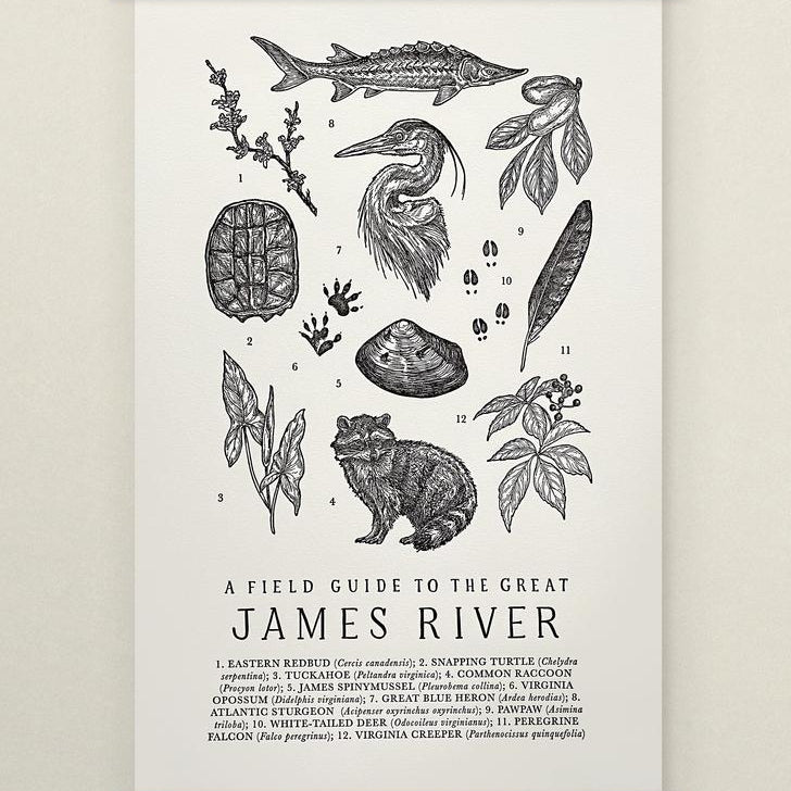 James River Field Guide
