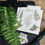 Floral & Herb Cards Set