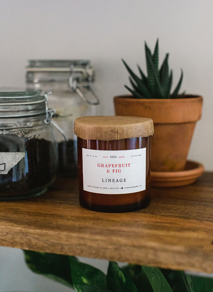 Grapefruit & Fig Candle – Lineage