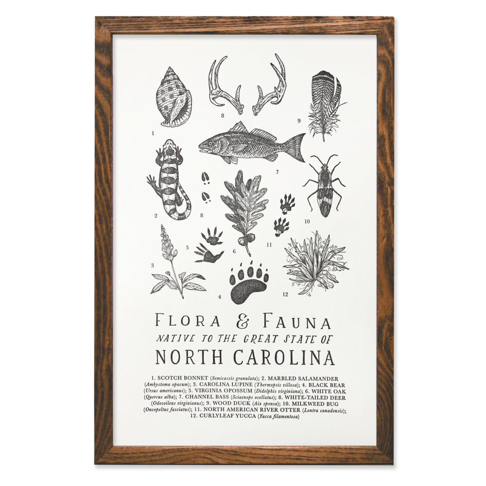 North Carolina Field Guide Print
