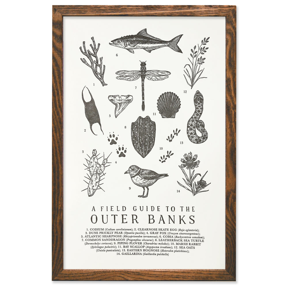 Outer Banks Field Guide Print