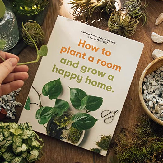 How to Plant a Room and Grow a Happy Home