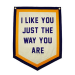 I Like You Just The Way You Are Camp Flag