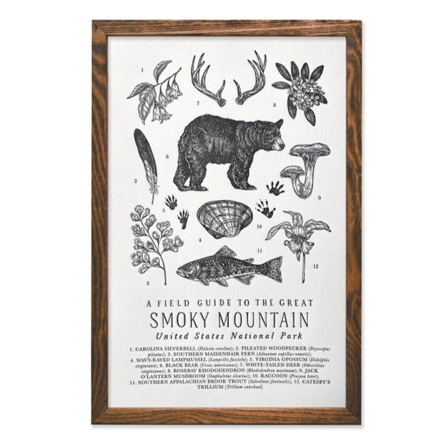 Great Smoky Mountains Park Field Guide Print