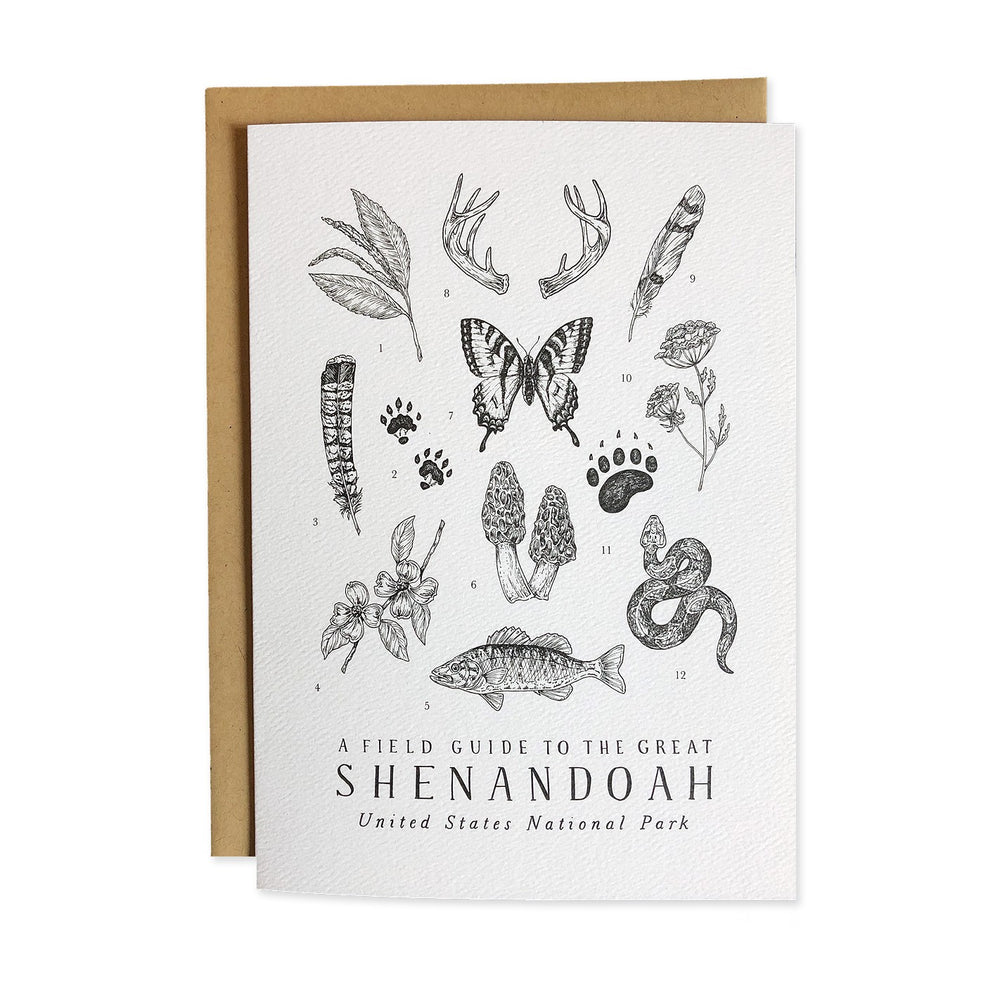 Field Guide Greeting Cards