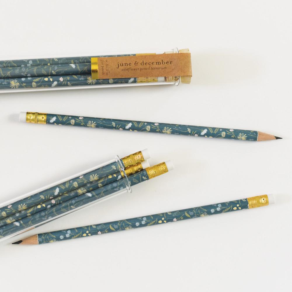 Pencil Terrarium